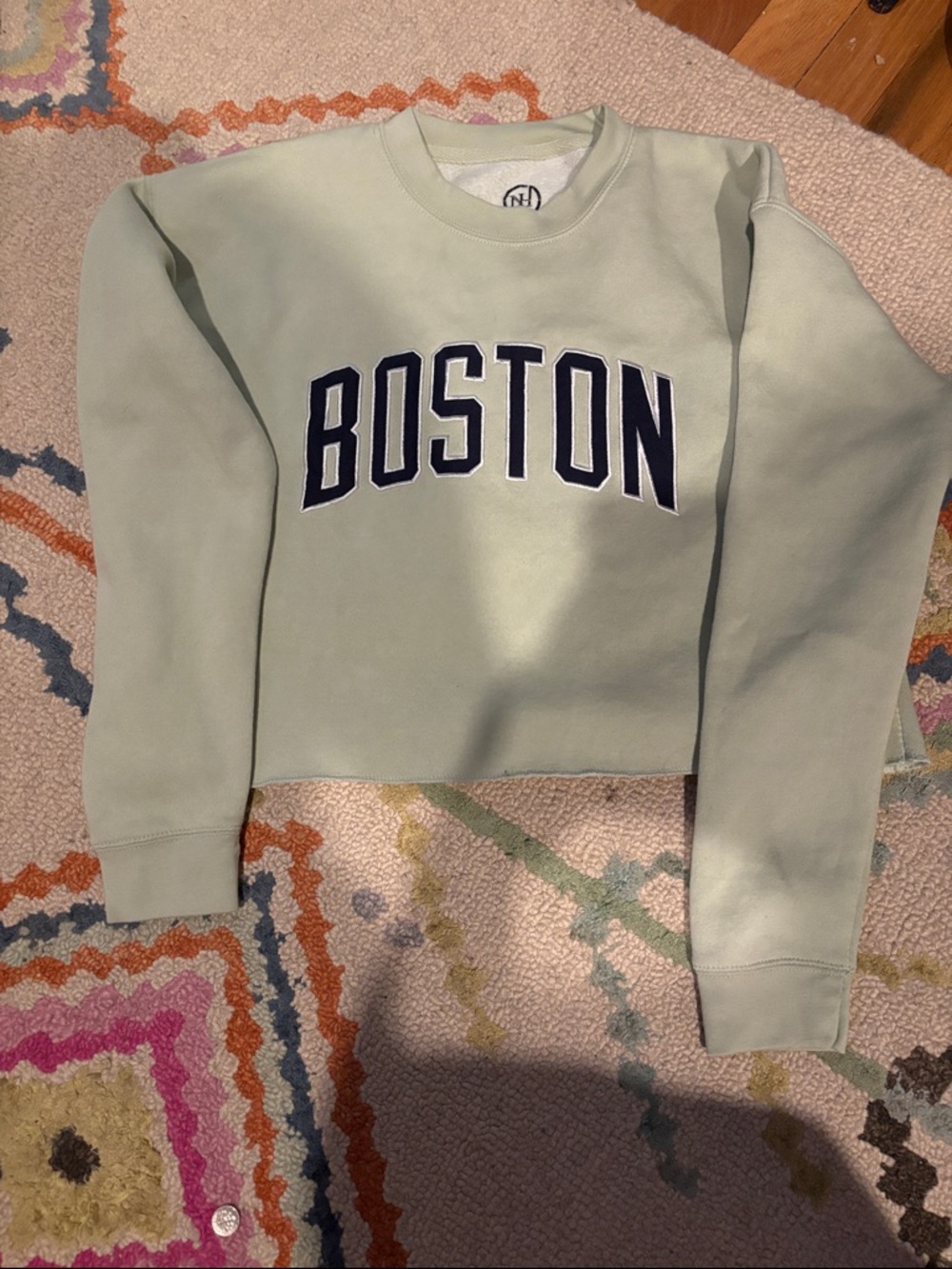 Boston Appliqué Crewneck Cropped Sweatshirt - Mint with Navy Letters